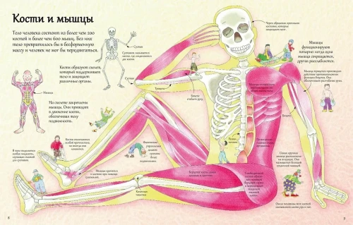 Открой тайны человека